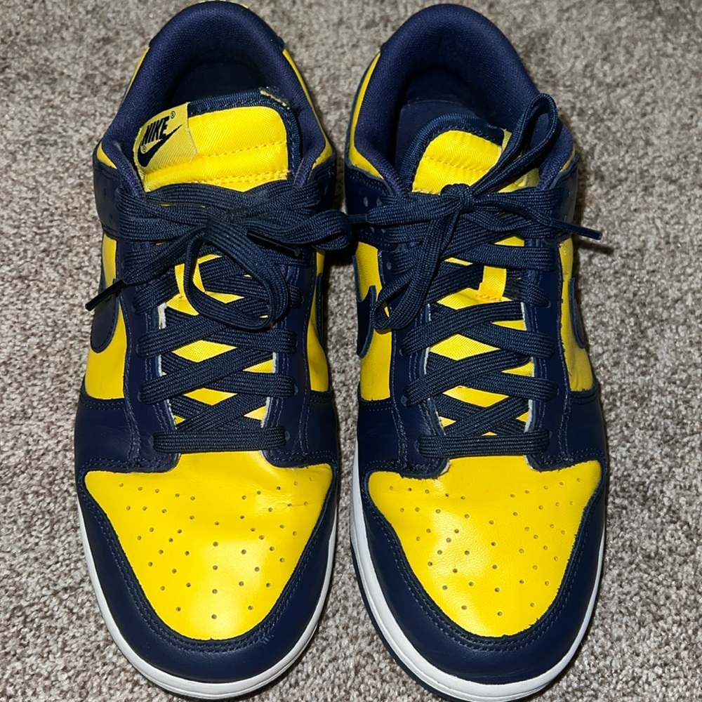 Nike dunk low retro